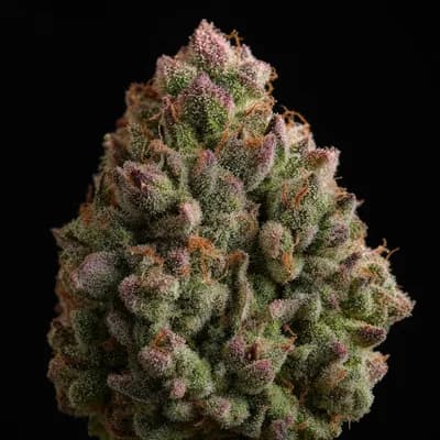 Greasy Pink THC 30