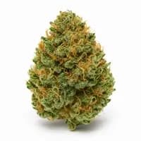 Green Crack