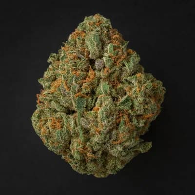 Green Crack 17