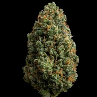 Guava
