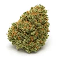 Guava Kush