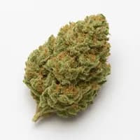 Hash Plant