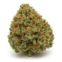 Hawaiian Haze