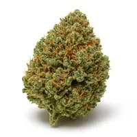 Headband