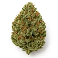 Hell s OG