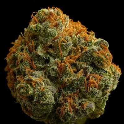 Hindu Kush 19