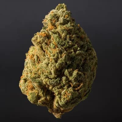 Humboldt Haze