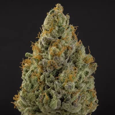 Ice Cream Kush