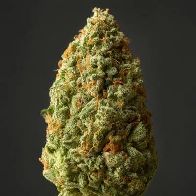 Insanity OG