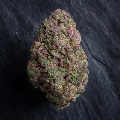 Island Pink