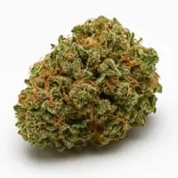 Jet Fuel Gelato