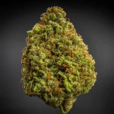 Key Lime