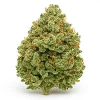Key Lime Pie