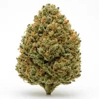 Khalifa Kush