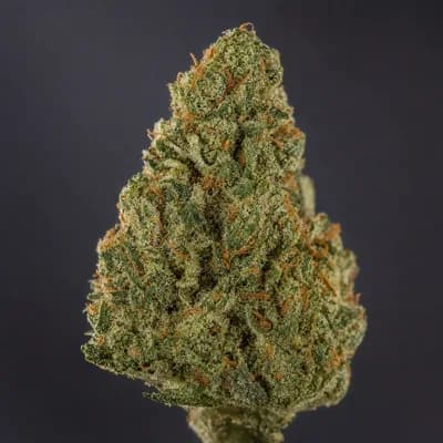 King Gas