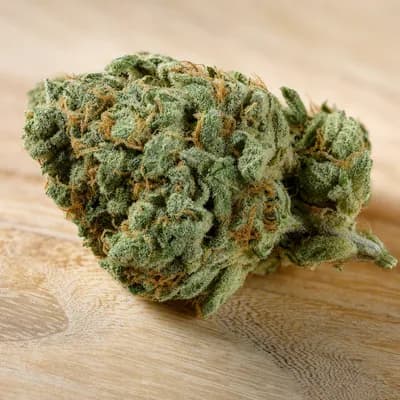 King Louis XIII