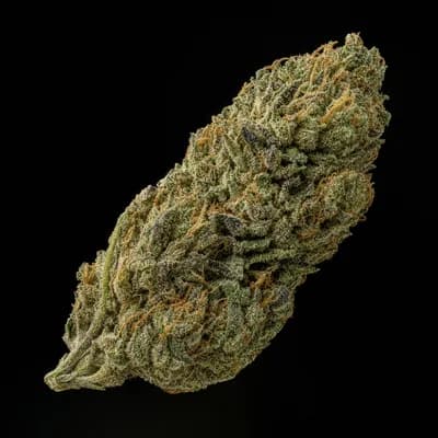 Lambs Breath Budder