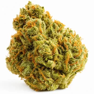 Lemon Amnesia
