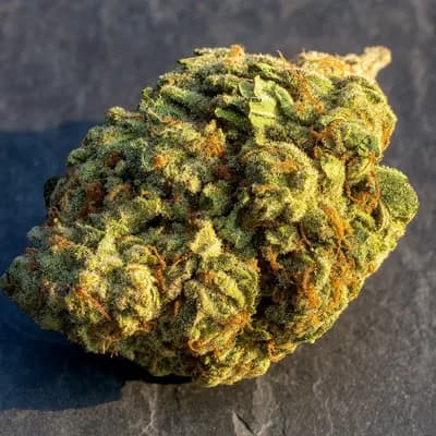Lemon Cherry