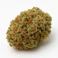 Lemon Cherry Gelato