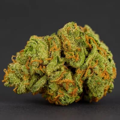 Lemon Cherry Gelato THC 26