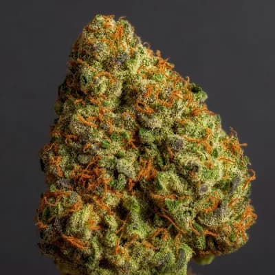 Lemon Dream