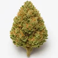 Lemon Haze