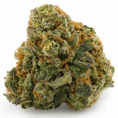 Love Potion