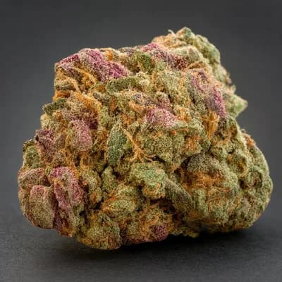 LSO Pink Bubba
