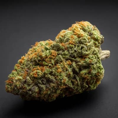 Mandarine Orange