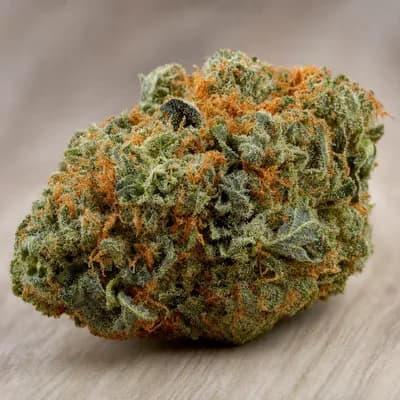 MANGO GAS