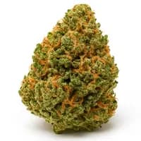 Mango Haze