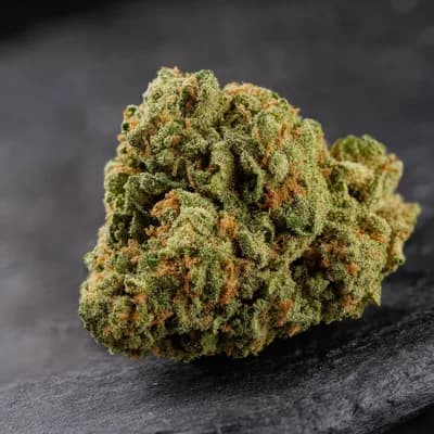 Mango Punch