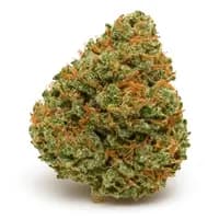 Maui Wowie