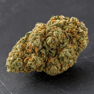 Mendo Purps