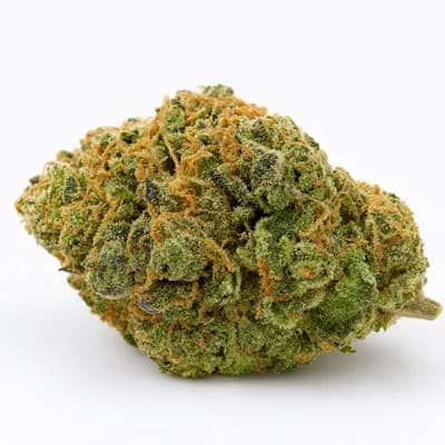 Mendo Skunk