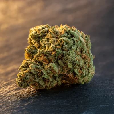 Miracle Alien Cookies