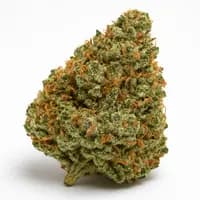 MK Ultra