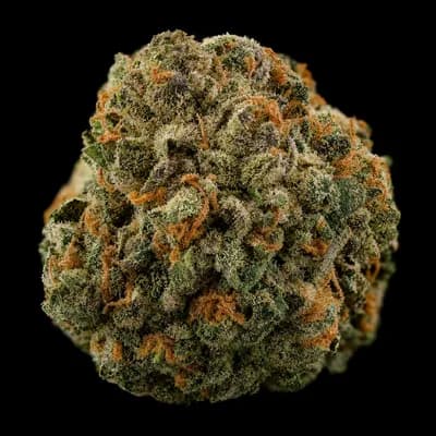 Mk Ultra HCE