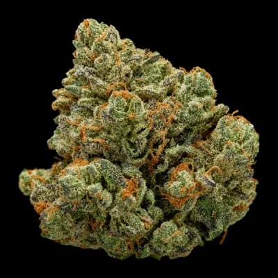 N1 Skunk