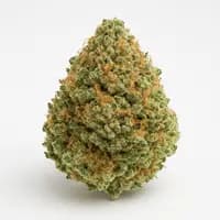 Nuken