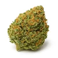 NYC Diesel