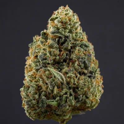 NYC DIESEL 1 8