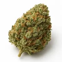 OG Kush