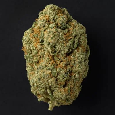 OG Kush 19