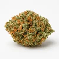 Orange Crush