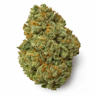 Original Skunk