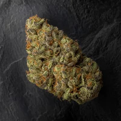 Pain Killer