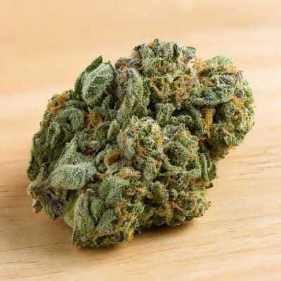 Pineapple Paradise