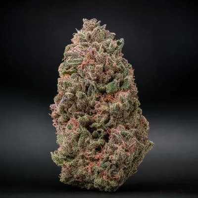 Pink Alien